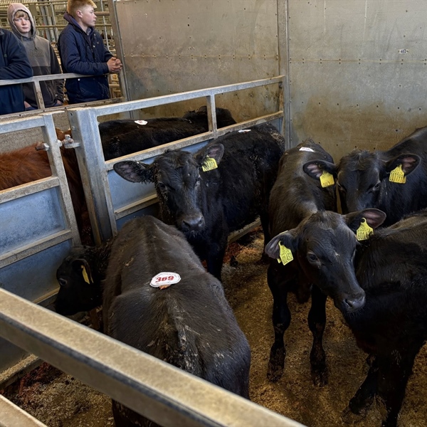 Weekly Wednesday Sale