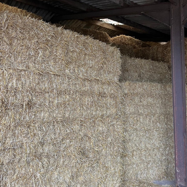 Fodder Sale